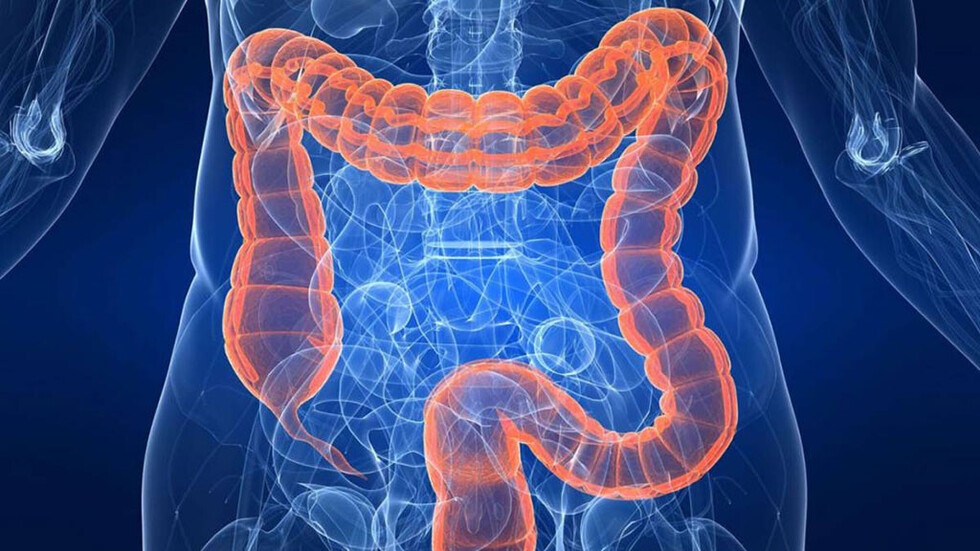 Cómo cuidar el colon