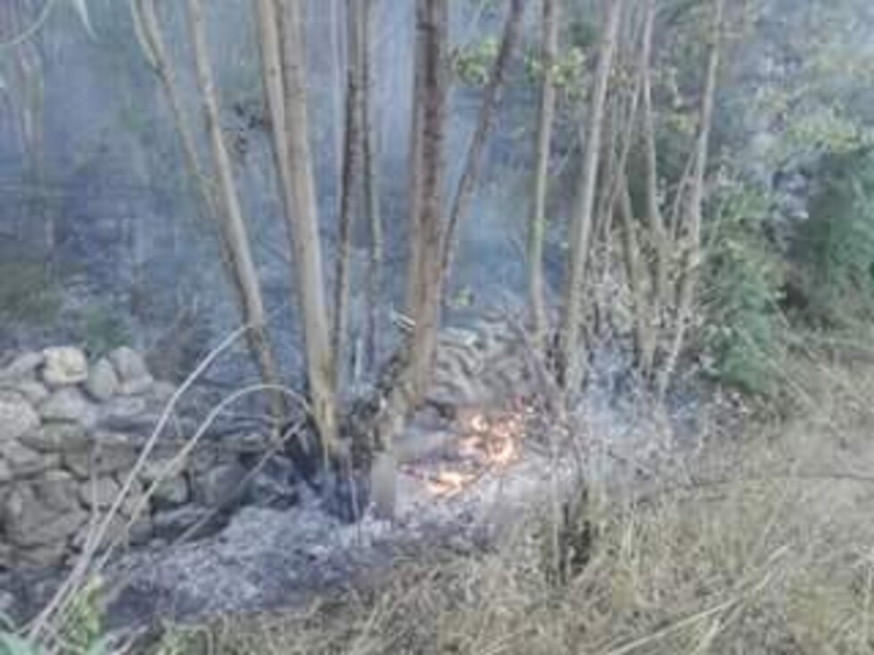 Controlan incendio en Rincón de la Victoria
