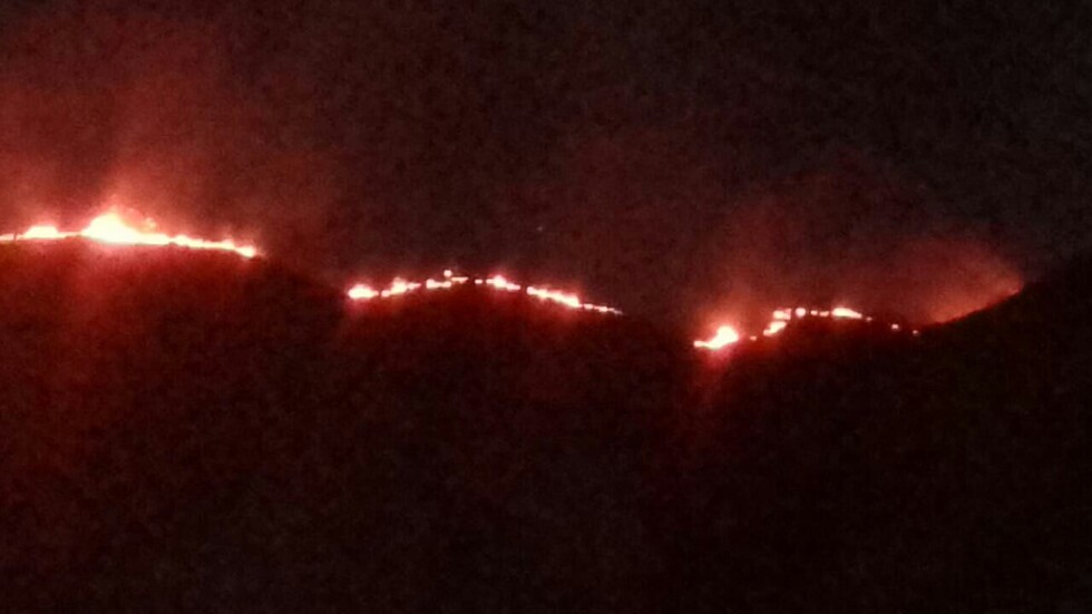 Registran  un nuevo  incendio  forestal