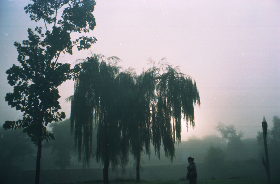 Soledad