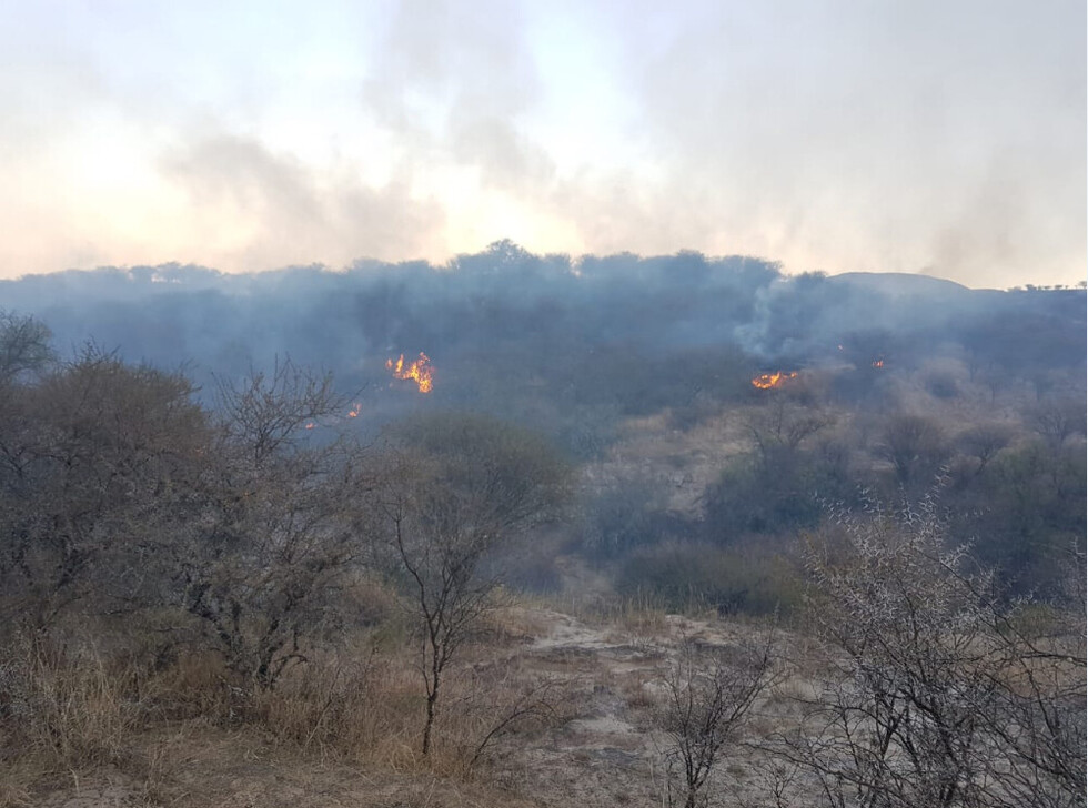 Fuego en Tolomosa Centro quemó casi 10 hectáreas