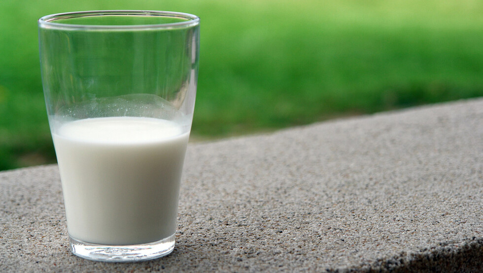 La leche  cruda