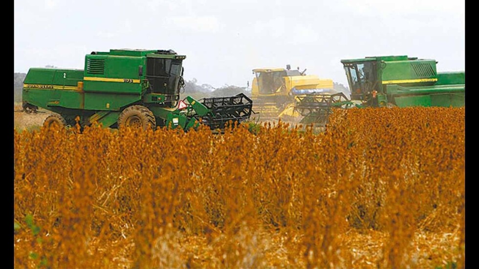 Ante el segundo aguinaldo "casi garantizado", los agroindustriales temen no poder cumplir