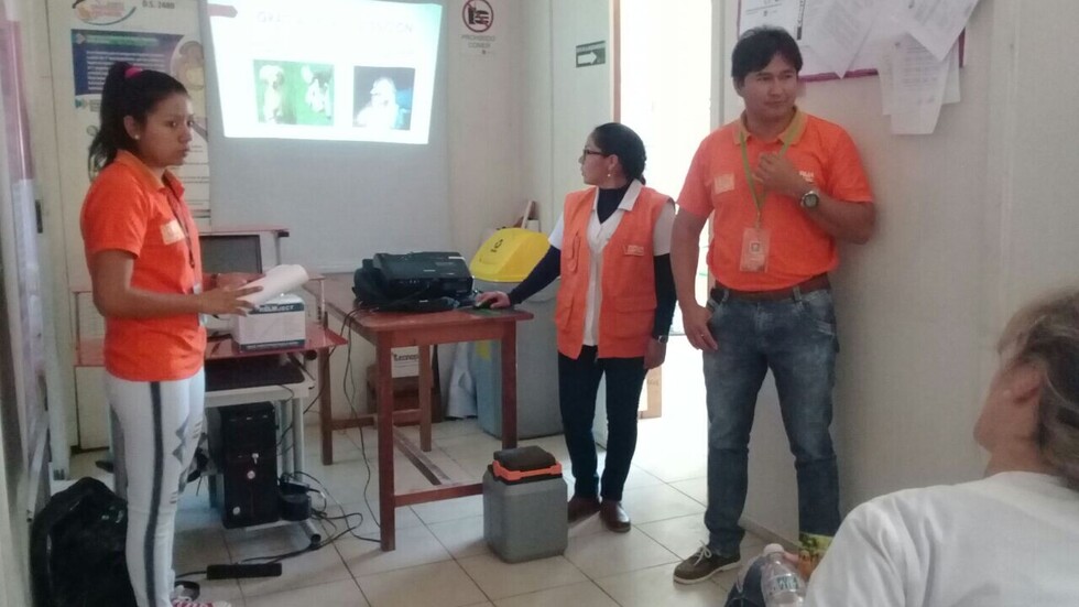 Capacitan a personal para vacunación contra la rabia canina