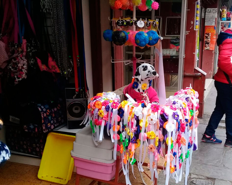 Collares y bizcochos, la tradición en el Día del Perro en Tarija