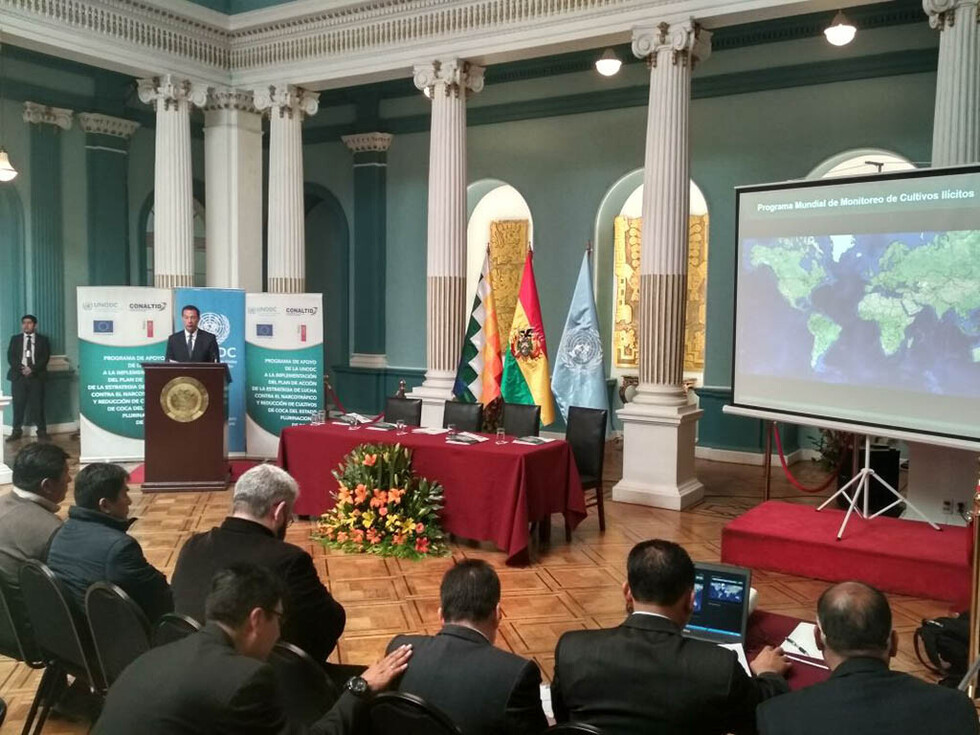 Cultivos de coca aumentaron en 1.400 hectáreas, la mayoría en el Chapare