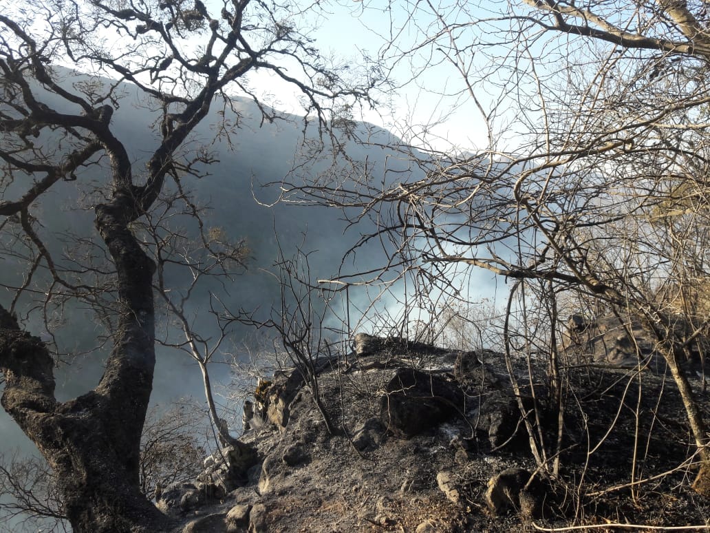 Reportan incendio de magnitud en el parque nacional Aguaragüe de Tarija (FOTOS)