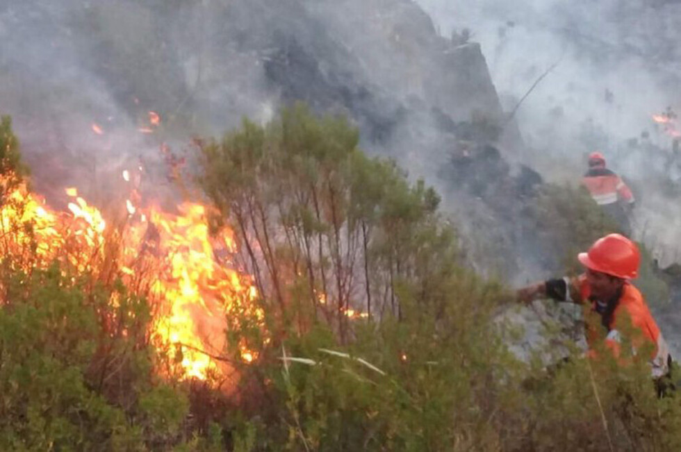 Un incendio  arrasa con 10 hectáreas de arbustos
