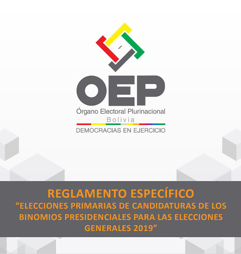 Conozca la reglamentación de las "Elecciones Primarias 2019" aprobada por el TSE