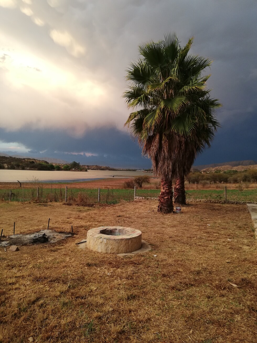 Anhelos de paz