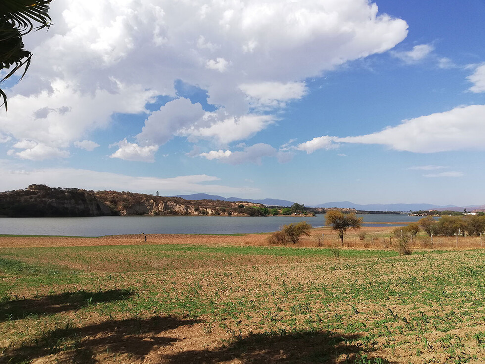 La agricultura a orillas del lago San Jacinto