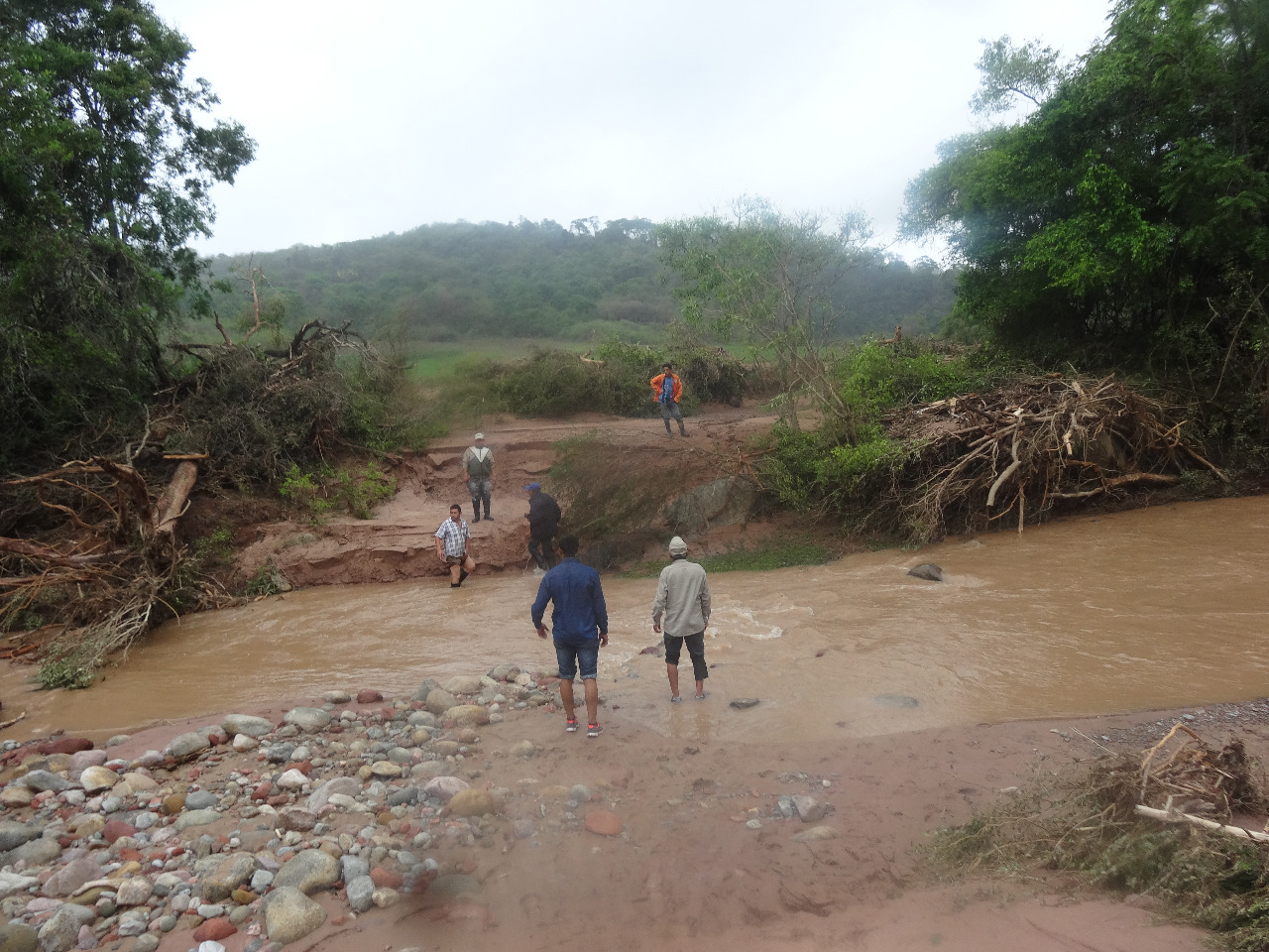 Lluvia y riadas en Caraparí afectaron cultivos, viviendas y causaron mortandad de animales