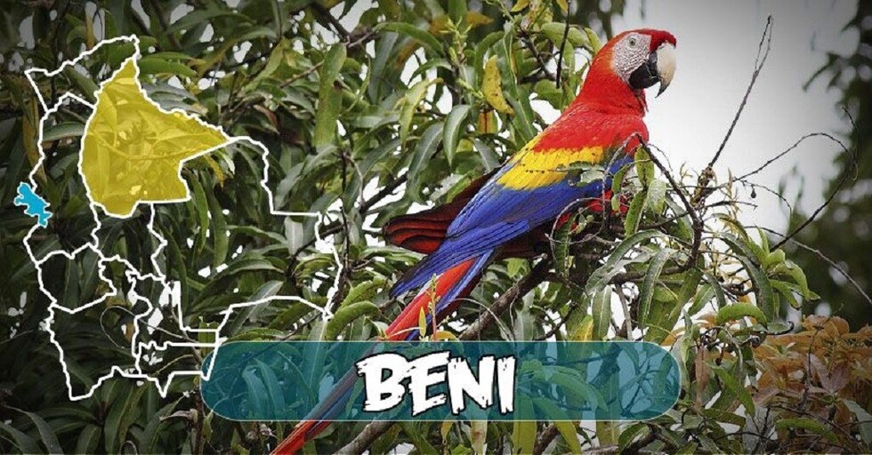 Beni celebra 176 años de creación