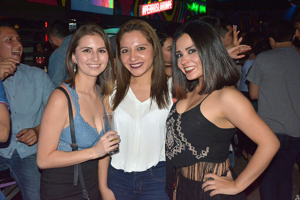 Full fiesta en la Disco Perros y Gatos