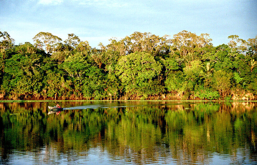 ¿Cuánto valen los servicios ecosistémicos de la Amazonía?