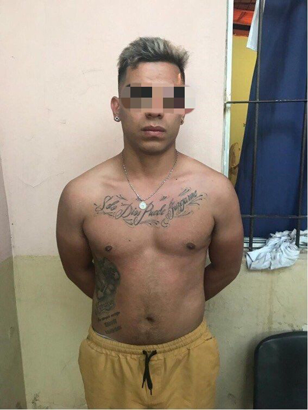 Lo mataron, incineraron e intentaron descuartizar