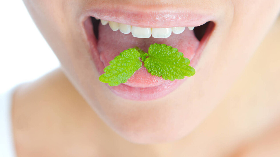 Halitosis y alimentación
