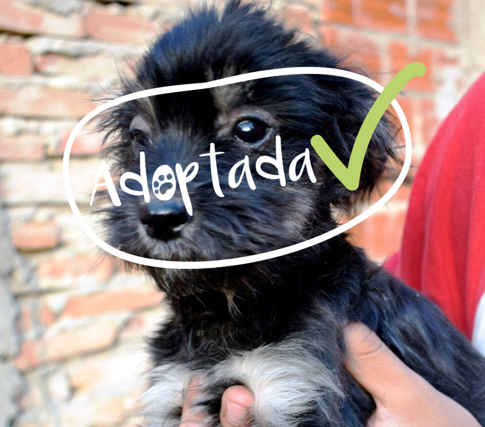 Beba, pero con moderación