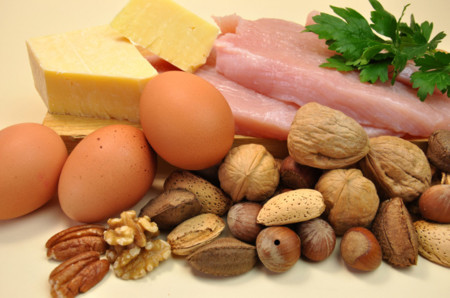 Proteina animal Vs proteina vegetal