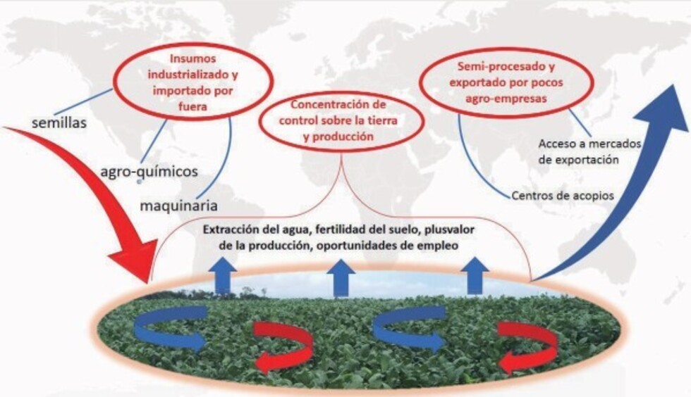 “Poder, acumulación y exclusión” marcan el modelo de la soya en Bolivia