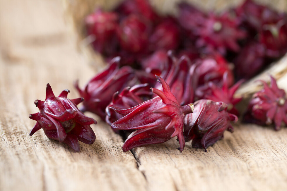 Nutrientes de la flor  de jamaica
