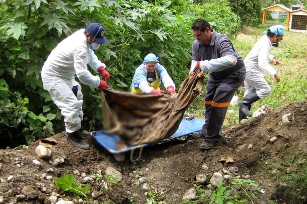 Masacraron a golpes y pedradas a hombre