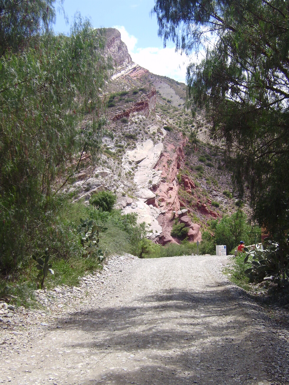 LOS MARQUESES DEL VALLE DE TOJO
