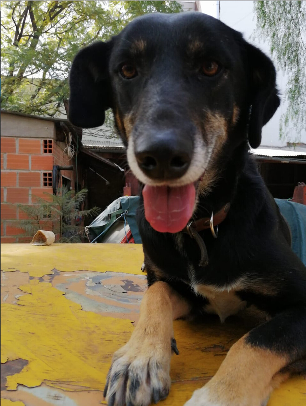 LUNA LA DINÁMICA