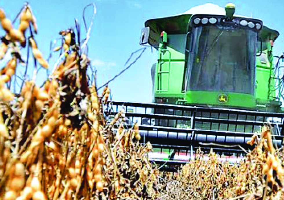 Productores advierten con excluir la siembra de soya