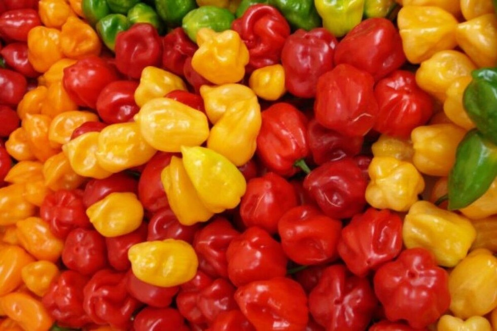 Efectos del picante