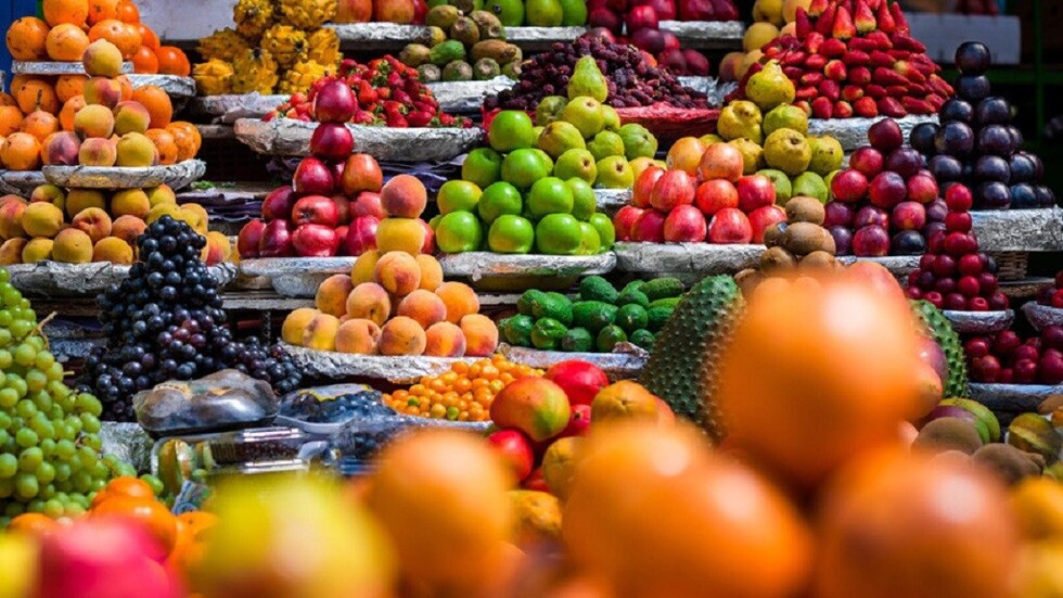 Crean en Chile un innovador papel hecho con algas marinas para conservar la fruta de exportación