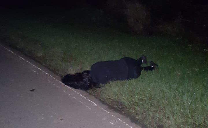 Asesinan a una mujer y  detienen al novio boxeador