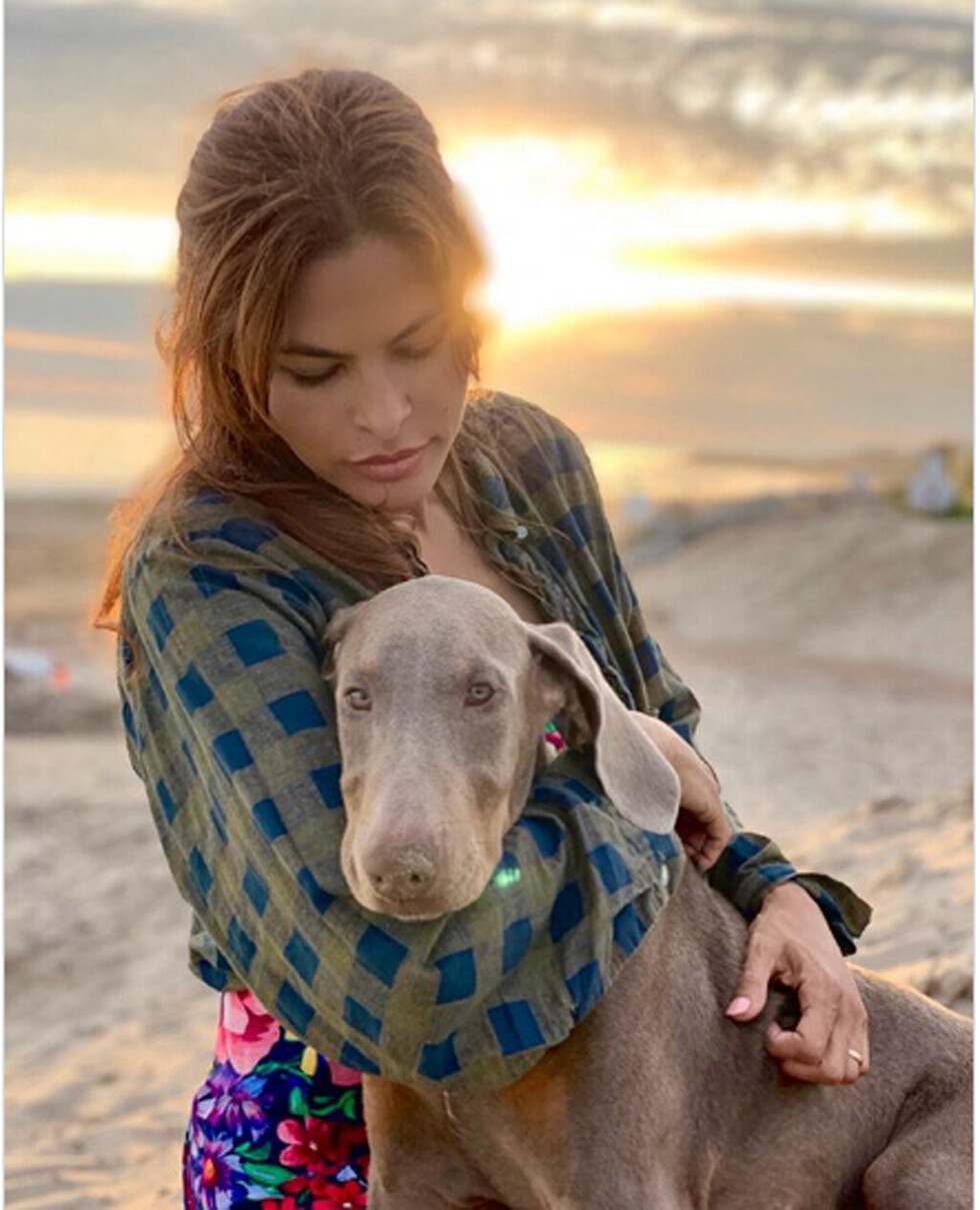 Eva y Ryan  adoptaron  un perro