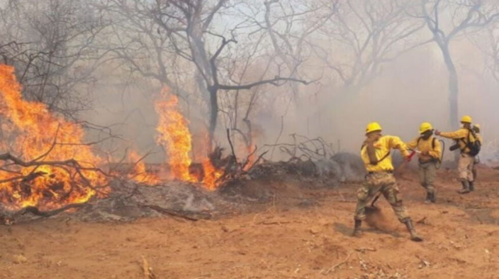 Roboré en emergencia por incendios forestales