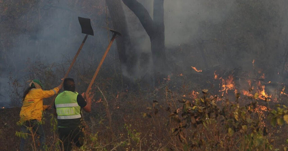 CNC: incendio forestal de la Chiquitanía afectará al PIB