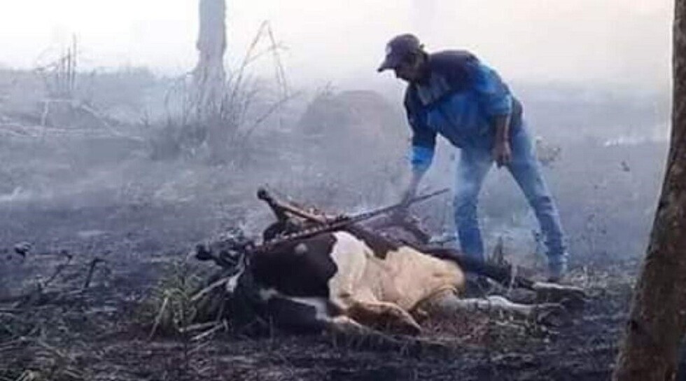 Afligido por el fuego en Roboré: “Es una catástrofe, la ayuda llegó después que se quemó”
