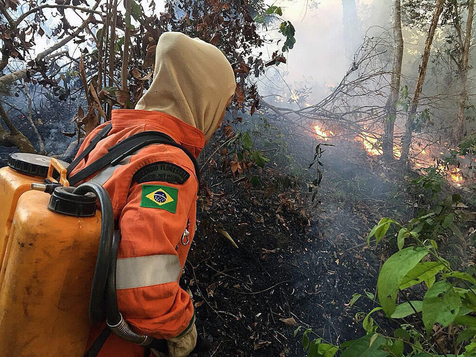 “Tropas federales combatirán incendios en el Amazonas”