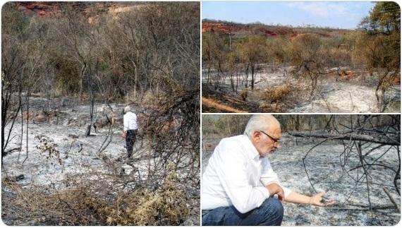 El "rebote" de Carlos Mesa