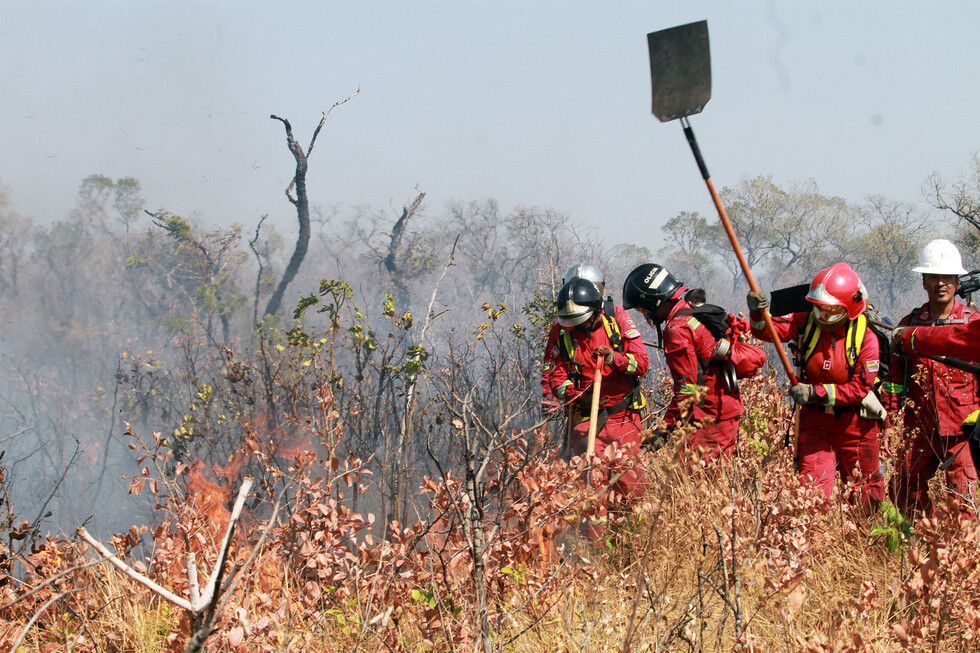 Gobierno prevé coordinación para la fase post-incendio