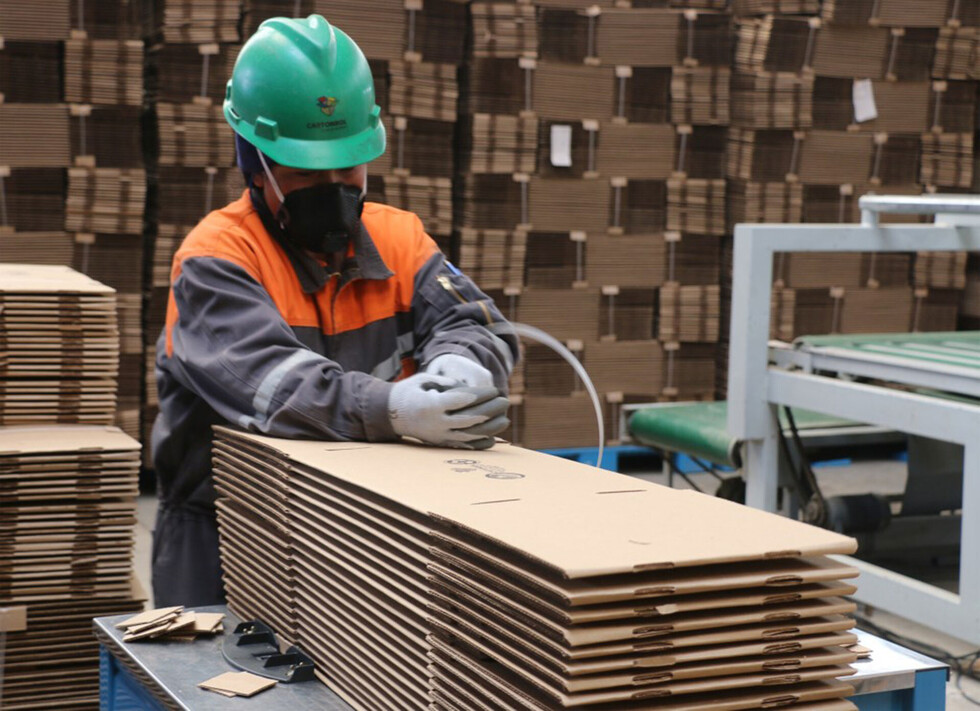 Cartonbol producirá muebles y juguetes de cartón