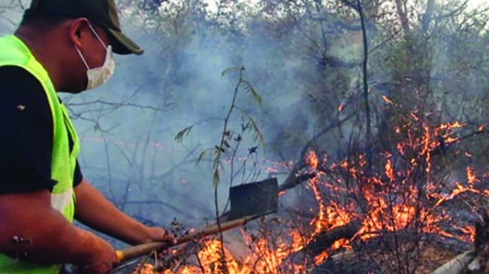 Informan que los primeros incendios iniciaron en Roboré