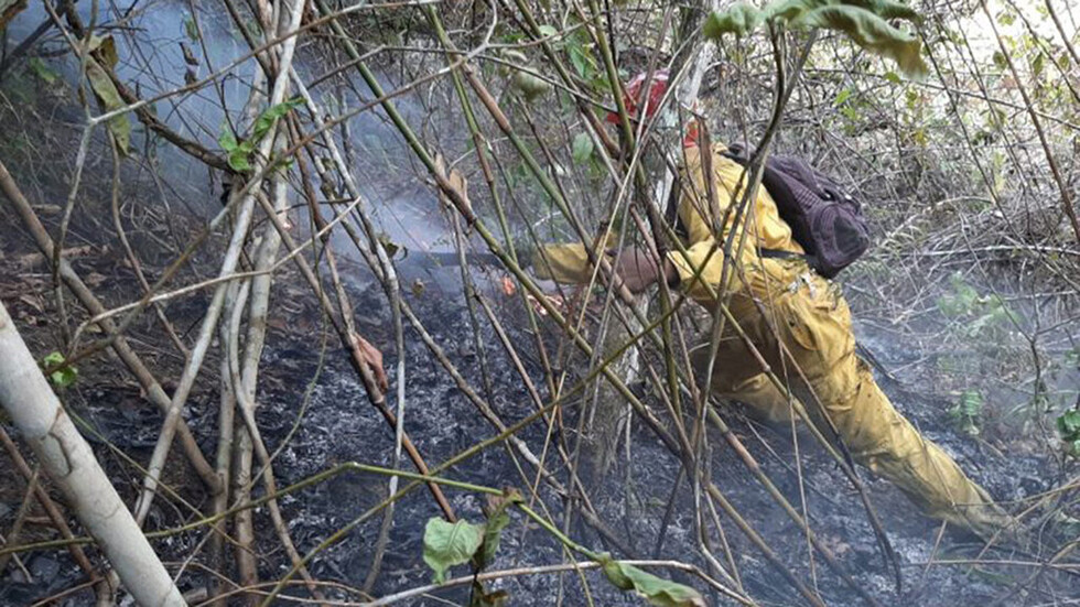 Dos incendios ponen en riesgo el núcleo del Parque Nacional Madidi