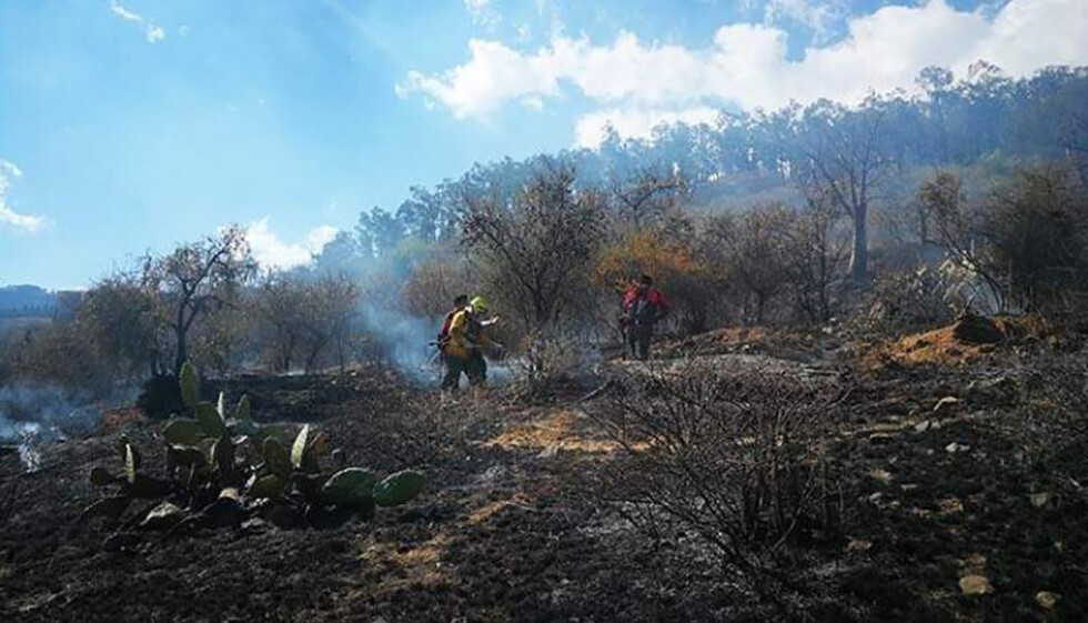 Sofocan el fuego en el Parque Tunari
