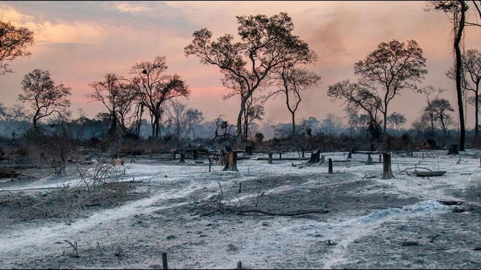 Las lluvias logran sofocar los últimos incendios en la Chiquitanía