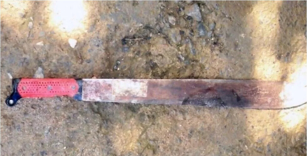Descubrió  que su papá  violó a su  hija y lo mató
