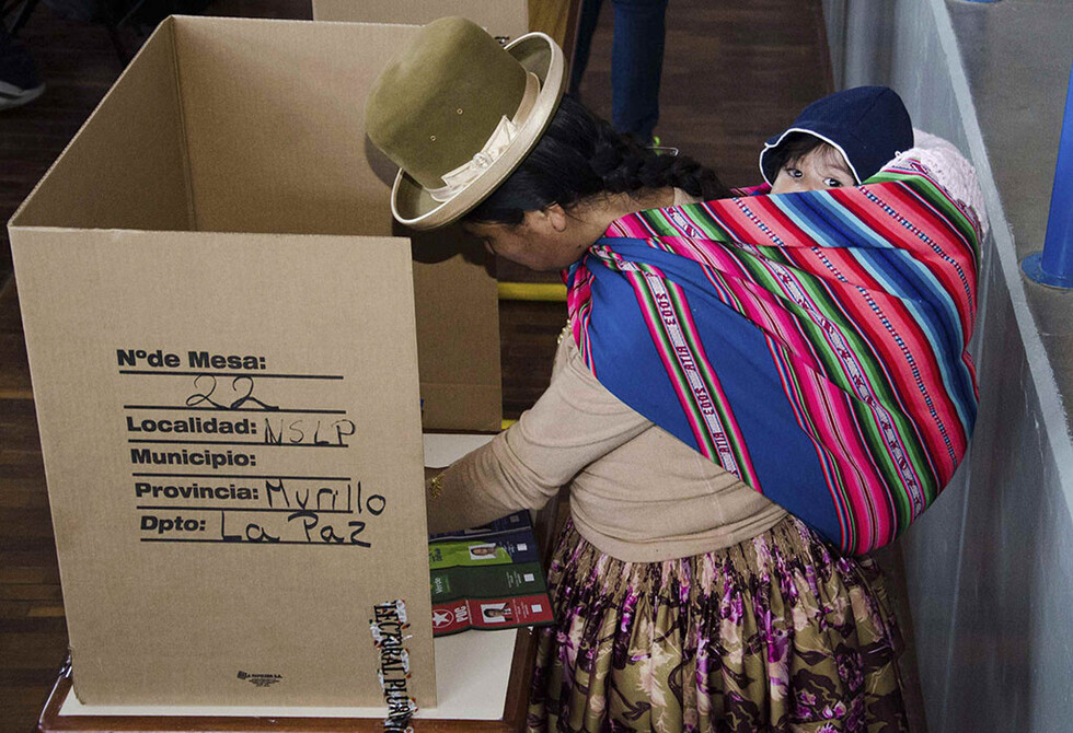 Comicios ponen a 11 políticos de trayectoria y a siete debutantes