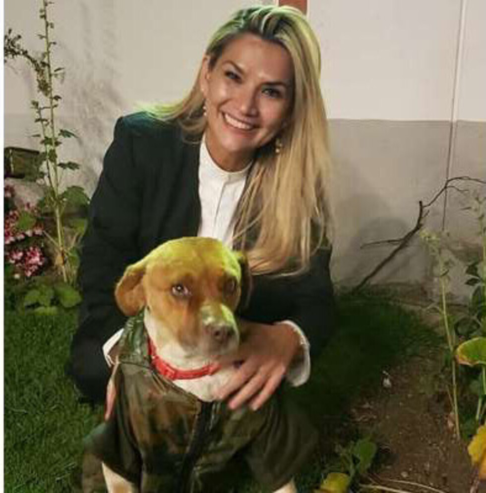 ¿Perro presidencial?