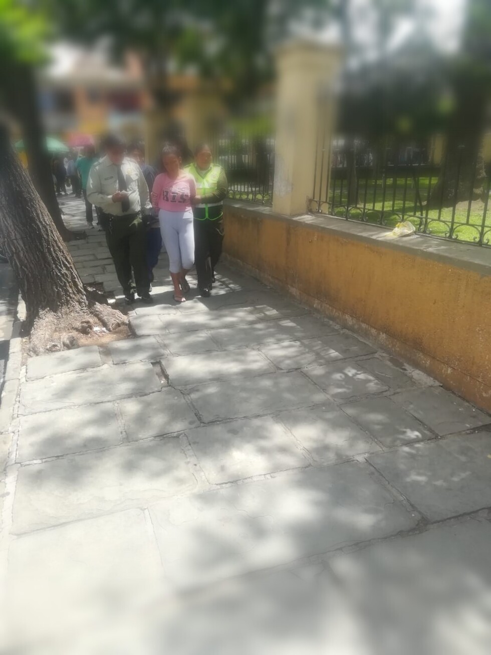 Tarija: Aprehenden a mujer que habría hurtado un celular en una fiesta