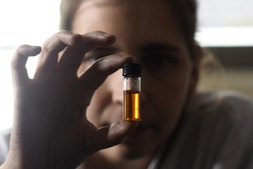 La mandarina, una aliada contra el colesterol