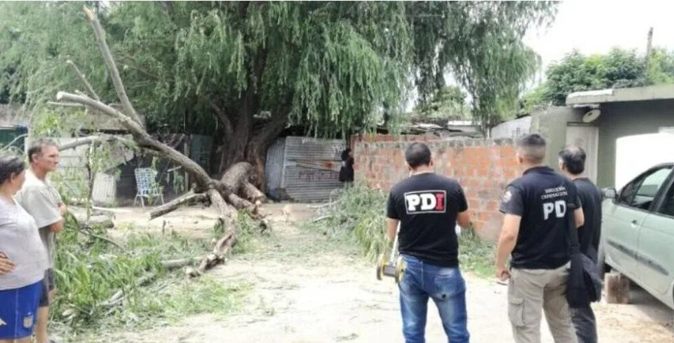 Hombre murió electrocutado al caer un árbol